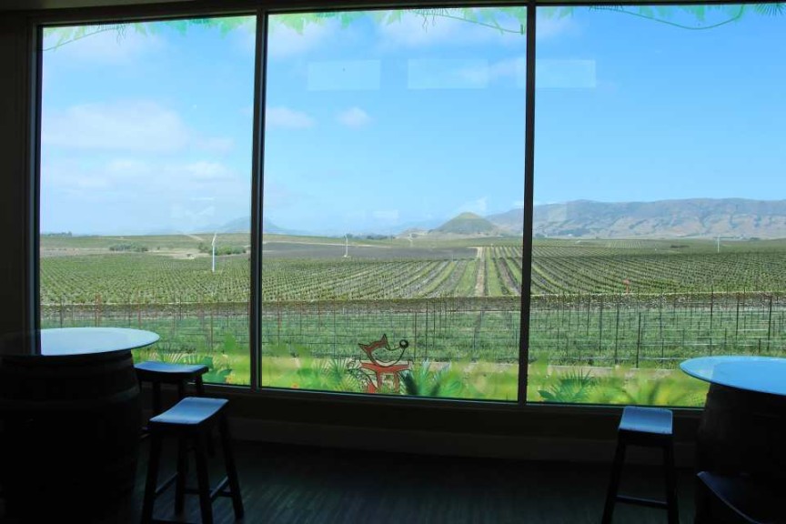 Panoramic view of Edna Valley Vineyards through the tasting room window