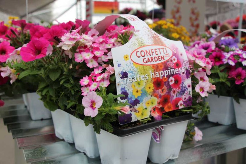 Confetti Garden Build-Your-Own Packs