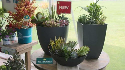 HGTV Incorporates Plants Into Lifestyles And Helps Consumers Solve Design And Function Concerns