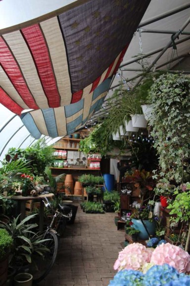 Honoring the family's Greek-American heritage,