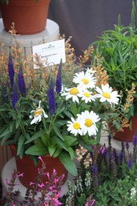 2015 California Spring Trials: Green Fuse Botanicals
