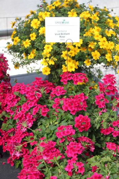 2015 California Spring Trials: Green Fuse Botanicals