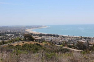 Suntory Flowers/EuroAmerican Propagators CAST 2015 Introductions