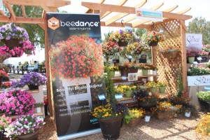 Suntory Flowers/EuroAmerican Propagators CAST 2015 Introductions