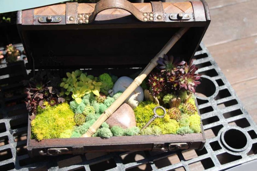 Suntory Flowers/EuroAmerican Propagators CAST 2015 Introductions