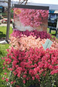 CAST 2015 At GroLink