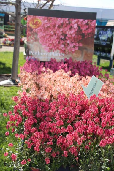 CAST 2015 At GroLink