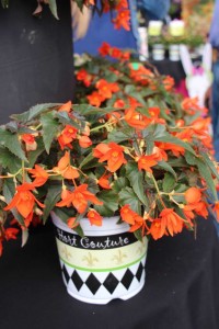 CAST 2015 At GroLink