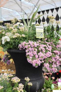 CAST 2015 At GroLink