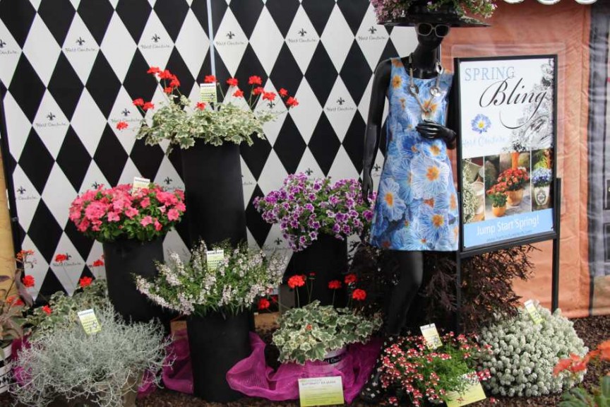 CAST 2015 At GroLink