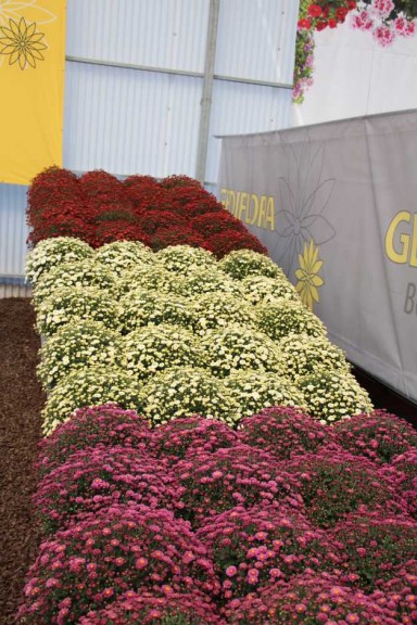 CAST 2015 At GroLink