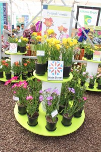 CAST 2015 At GroLink