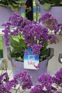 CAST 2015 At GroLink