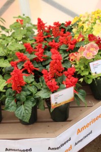 CAST 2015 At GroLink