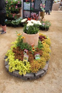 Terra Nova Nurseries 2015 Intros