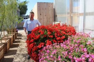 PAC-Elsner CAST 2015