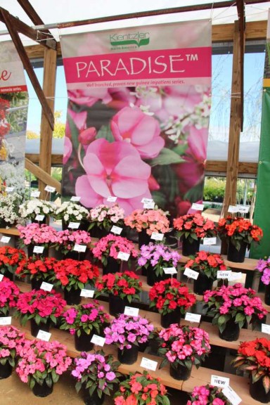 Kientzler Introductions At CAST 2015