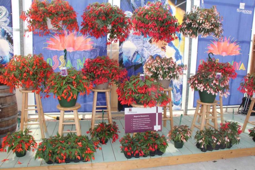 Floranova/Vegetalis CAST Intros 2015