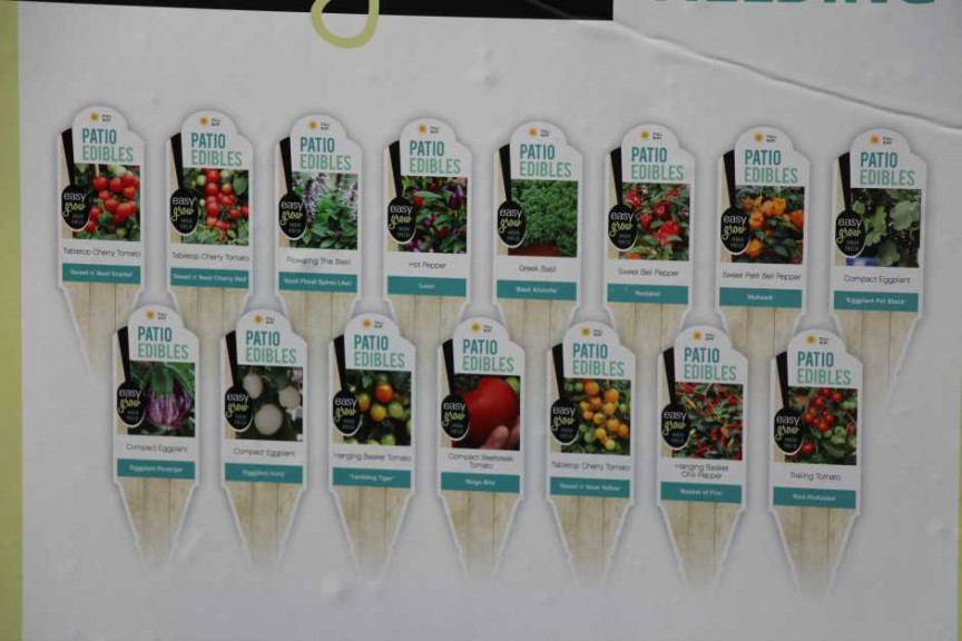 Floranova/Vegetalis CAST Intros 2015