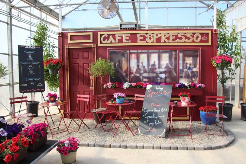 Floranova/Vegetalis CAST Intros 2015