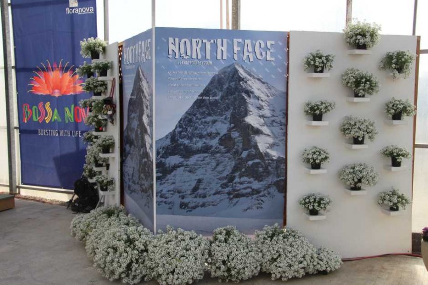 Floranova/Vegetalis CAST Intros 2015