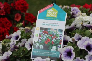 HGTV HOME Plant Collection Spring Trials 2015