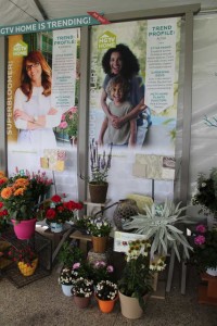 HGTV HOME Plant Collection Spring Trials 2015