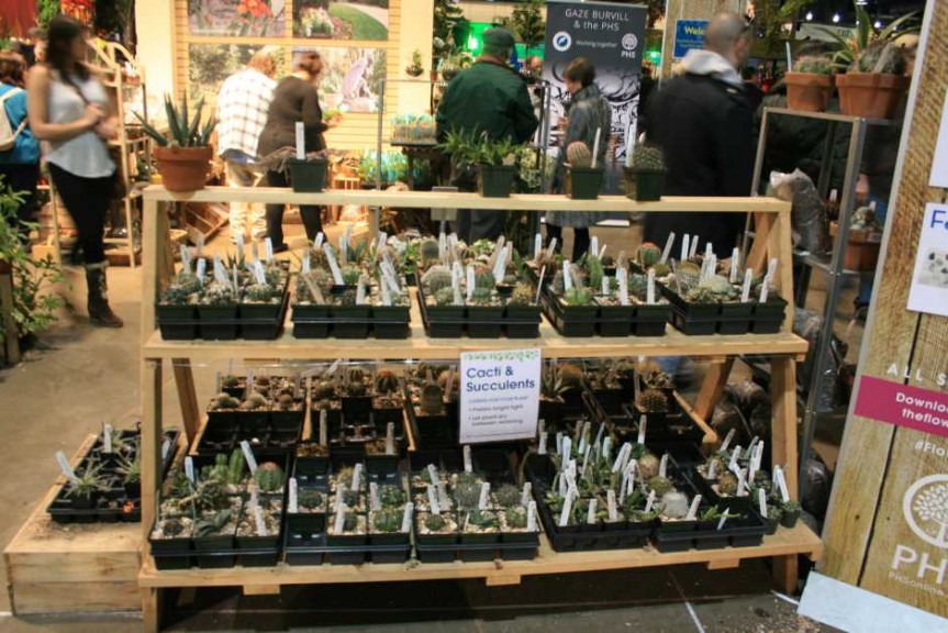 2015 Philadelphia Flower Show