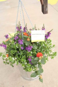 Syngenta CAST 2015 Introductions