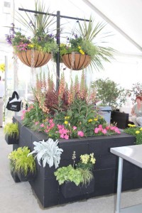 Pacific Plug & Liner