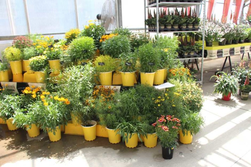 Pacific Plug & Liner