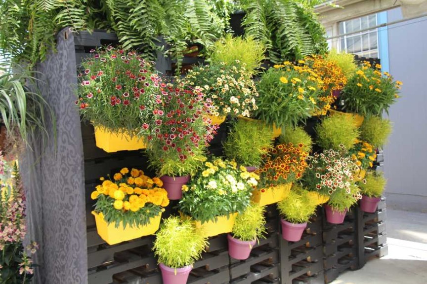 Pacific Plug & Liner