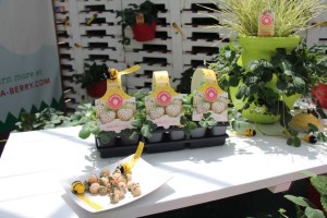 Pacific Plug & Liner