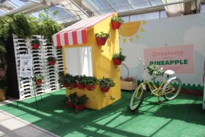 Pacific Plug & Liner