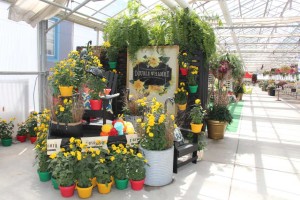 Pacific Plug & Liner