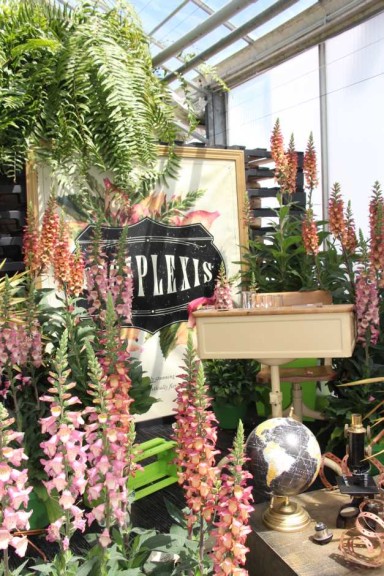 Pacific Plug & Liner