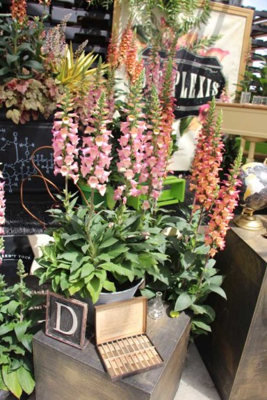 Pacific Plug & Liner