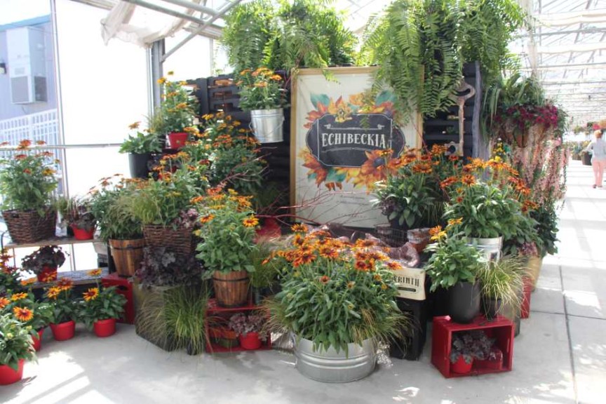 Pacific Plug & Liner