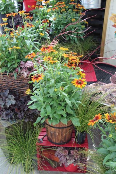 Pacific Plug & Liner