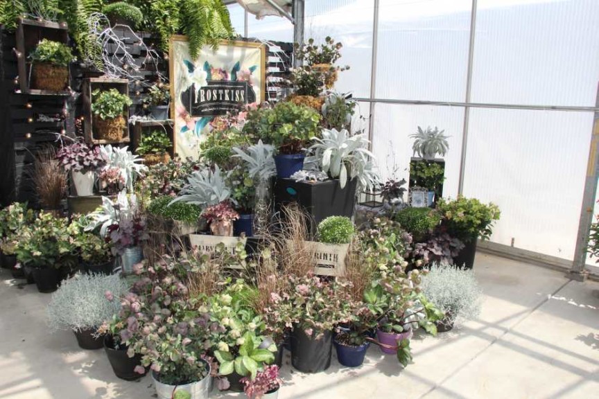 Pacific Plug & Liner