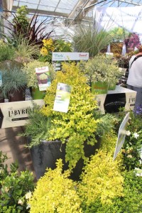 Southern Living/Sunset Western Collection