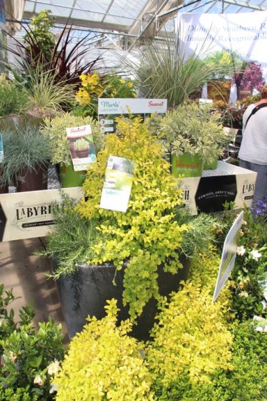 Southern Living/Sunset Western Collection