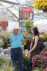 Southern Living/Sunset Western Collection