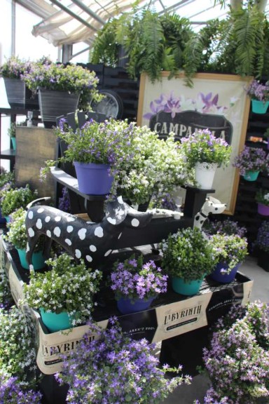 Pacific Plug & Liner