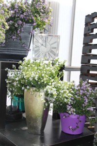 Pacific Plug & Liner