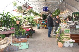 Inside the greenhouse