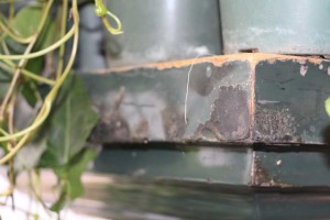 Lingering damage from the blast