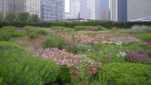 Eco-Conscious Landscapes Fast Track The Rise Of Grasses  And Native Plants
