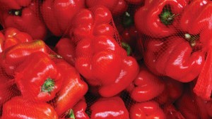 Nature Fresh Farms To Build 175-Acre Greenhouse Facility In Northwest Ohio