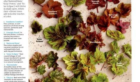 Look At What’s New At Terra Nova Nurseries